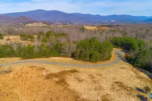 13 Bartholomew Pl, Stanardsville, VA 22973 - Photo 13