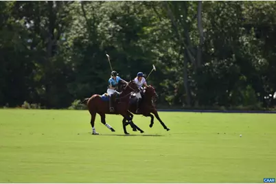 21515 Trappe Rd, Upperville, VA 20185 - Photo 55