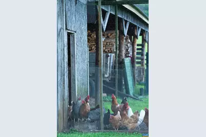 21515 Trappe Rd, Upperville, VA 20185 - Photo 61