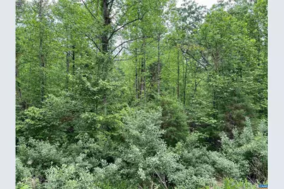 Lot B and C Montview Dr #B&C, Ruckersville, VA 22968 - Photo 5