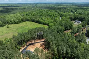 487 Kenwood Ln, Ruckersville, VA 22968 - Photo 47