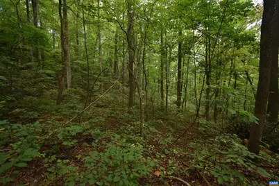 12 Old Mountain Rd #12, Stanardsville, VA 22973 - Photo 3