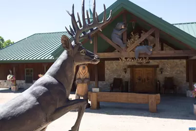 240 Stoneleigh Rd, Palmyra, VA 22963 - Photo 9