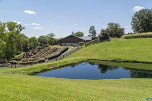 240 Stoneleigh Rd, Palmyra, VA 22963 - Photo 61