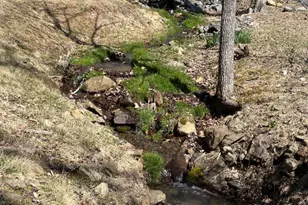 4345 Spotswood Trail, Stanardsville, VA 22973 - Photo 53