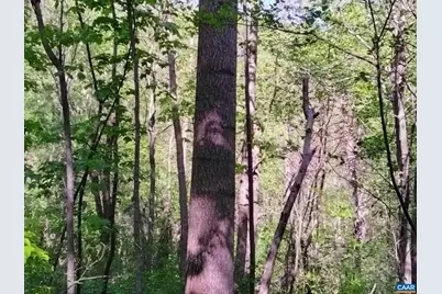 Tbd Old Blue Ridge Tpke, Syria, VA 22743 - Photo 7