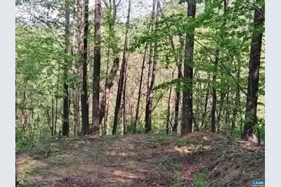 Tbd Old Blue Ridge Tpke, Syria, VA 22743 - Photo 5