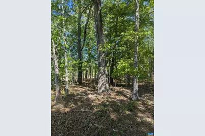 Lot 4 Horizon Dr, Ruckersville, VA 22968 - Photo 13