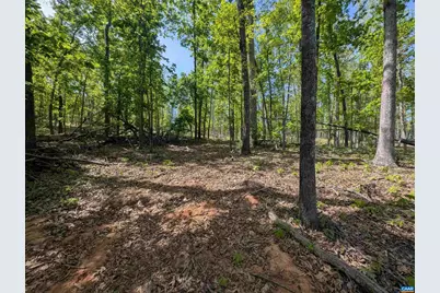 Lot 10 Advance Mills Rd, Ruckersville, VA 22968 - Photo 3