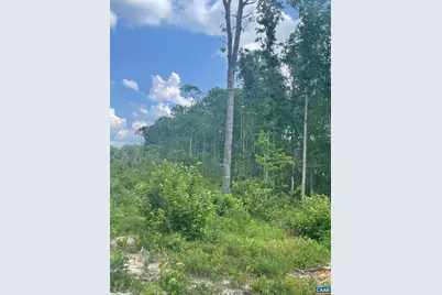 Passante Sr Ln #10 68, Gordonsville, VA 22942 - Photo 5