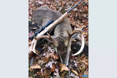 Passante Sr Ln #10 68, Gordonsville, VA 22942 - Photo 7