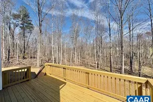 54 Porkchop Ct, Louisa, VA 23093 - Photo 9