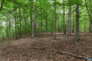 258 Palmer Pl, Ruckersville, VA 22968 - Photo 27