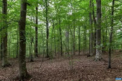 Lot 68 Palmer Pl #68, Ruckersville, VA 22968 - Photo 5