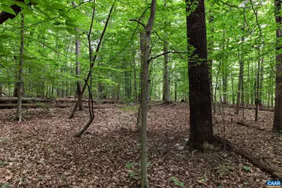 Lot 68 Palmer Pl #68, Ruckersville, VA 22968 - Photo 7