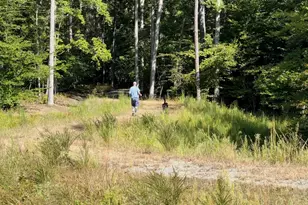 354 Glenmore Ln, Keswick, VA 22947 - Photo 23