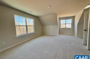 53 Porkchop Ct, Louisa, VA 23093 - Photo 21