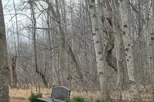 795 Four Seasons Dr, Ruckersville, VA 22968 - Photo 43