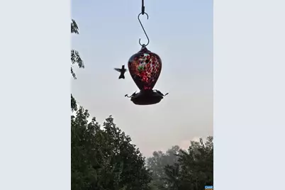 118 Lexington Ct #7, Stanardsville, VA 22973 - Photo 17