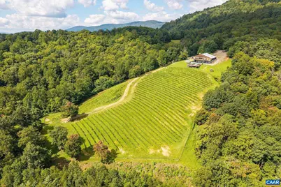 1376 Wyatt Mountain Rd, Dyke, VA 22935 - Photo 3