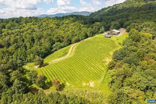 1376 Wyatt Mountain Rd, Dyke, VA 22935 - Photo 3