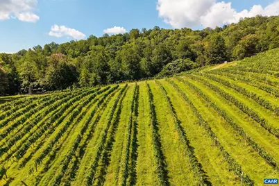 1376 Wyatt Mountain Rd, Dyke, VA 22935 - Photo 7