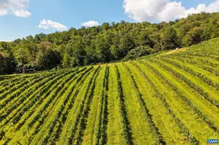 1376 Wyatt Mountain Rd, Dyke, VA 22935 - Photo 7