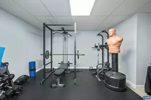 105 Squirrel Path, Stanardsville, VA 22973 - Photo 53