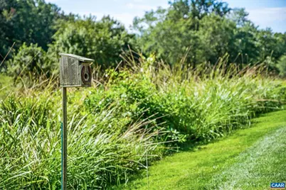 105 Squirrel Path, Stanardsville, VA 22973 - Photo 65