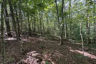 Tm 23-5A Mitchell Mountain Rd, Haywood, VA 22722 - Photo 1