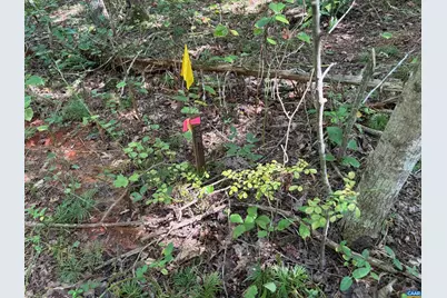 Tm 23-5A Mitchell Mountain Rd #5A, Haywood, VA 22722 - Photo 5