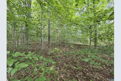 230 Beech Nut Dr #951 & 952, Louisa, VA 23093 - Photo 1