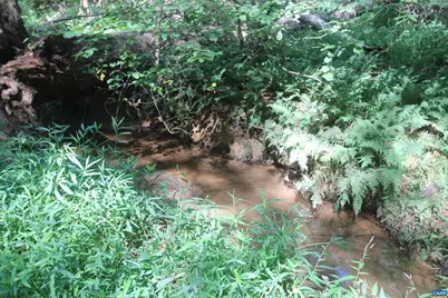 0 Seminole Trl, Rochelle, VA 22738 - Photo 7