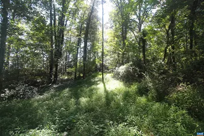 0 Seminole Trl, Rochelle, VA 22738 - Photo 11