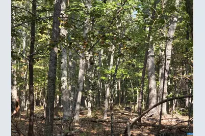 388 Mahanes Rd, Gordonsville, VA 22942 - Photo 5