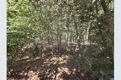 388 Mahanes Rd, Gordonsville, VA 22942 - Photo 7