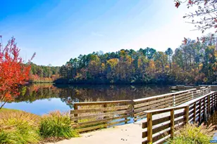 6 Begum Rd, Palmyra, VA 22963 - Photo 61