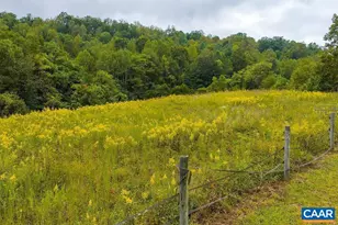 536 Redbud Dr, Stanardsville, VA 22973 - Photo 55