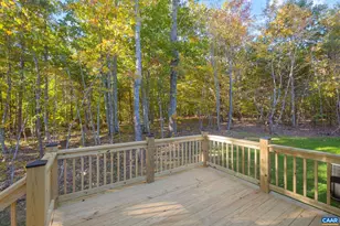 46 Union Church Rd, Palmyra, VA 22963 - Photo 51