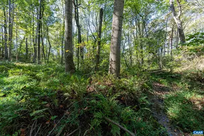 Orange Rd, Pratts, VA 22731 - Photo 7