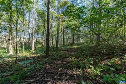 Orange Rd, Pratts, VA 22731 - Photo 9