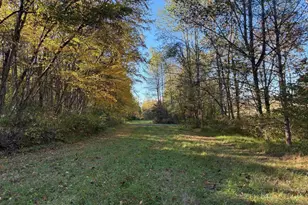 Lot E Tm 24-30 W Hoover Rd, Reva, VA 22735 - Photo 1