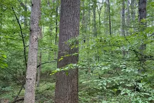 Lot 2 Waldrop Church Rd, Louisa, VA 23093 - Photo 1