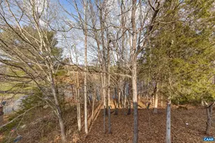 736 Jonquil Rd, Ruckersville, VA 22968 - Photo 37