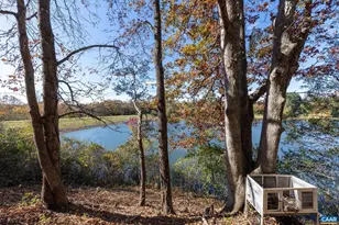 736 Jonquil Rd, Ruckersville, VA 22968 - Photo 35