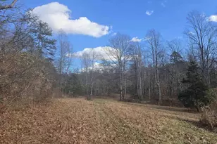 Lot C Sycamore Ln, Ruckersville, VA 22968 - Photo 1