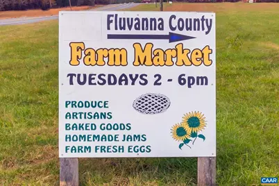 82 Crape Myrtle Dr, Palmyra, VA 22963 - Photo 49