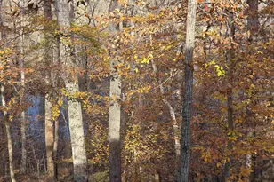 60 Chippewa Ln, Palmyra, VA 22963 - Photo 63