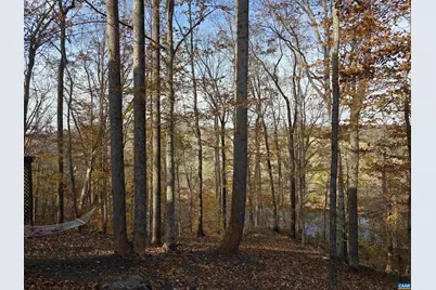 60 Chippewa Ln, Palmyra, VA 22963 - Photo 65