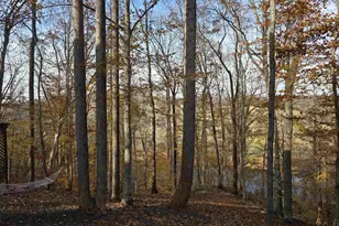 60 Chippewa Ln, Palmyra, VA 22963 - Photo 65